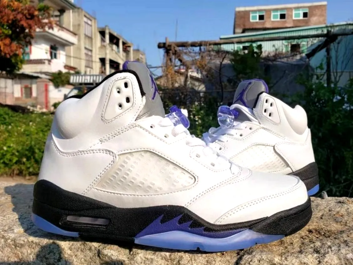 Baskets Air Jordan 5 Retro Dark Concord