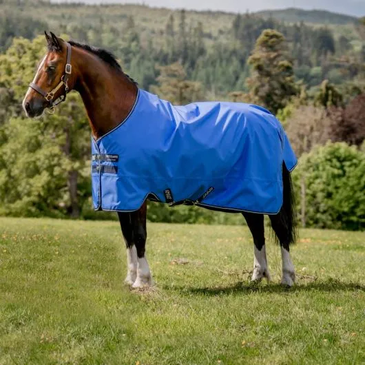 Couverture imperméable cheval Amigo Hero 0gr Horseware - Equestra