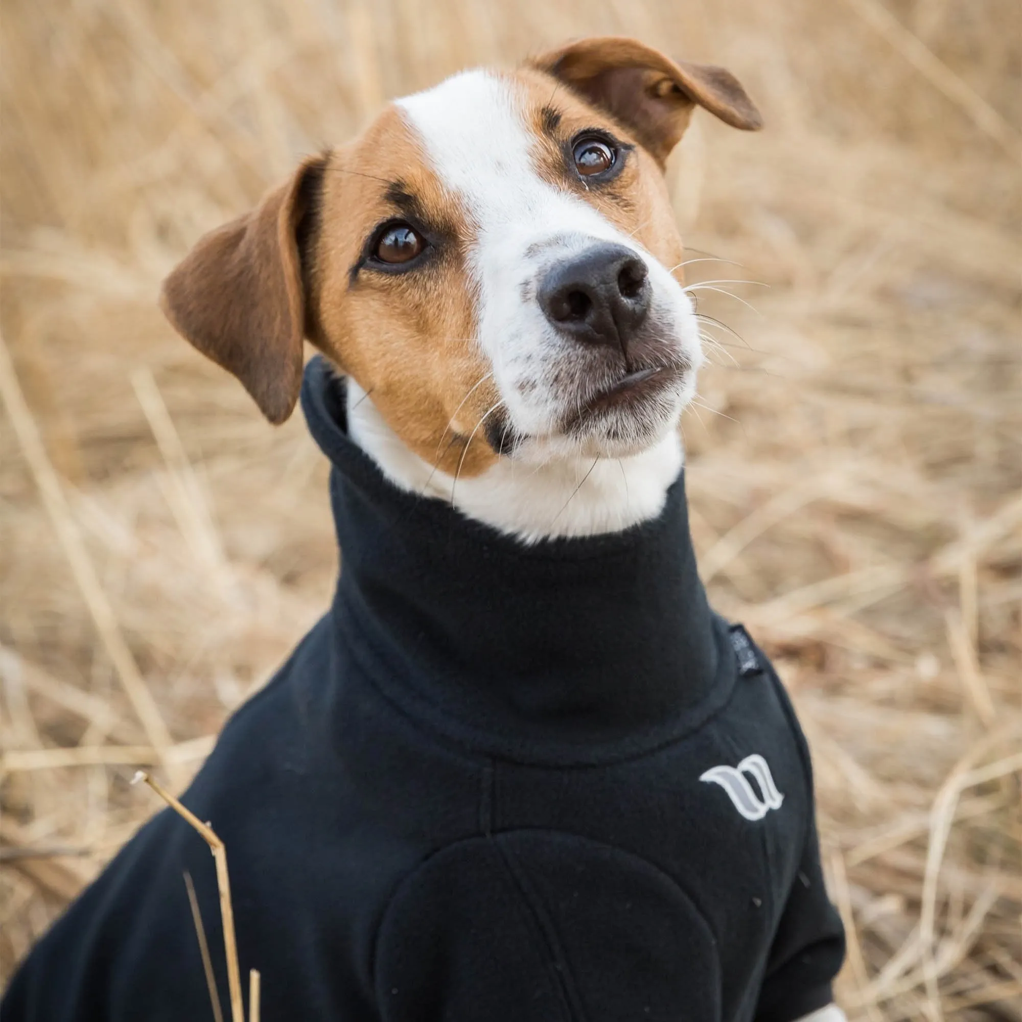 Pull en polaire Cassie Back on Track pour chiens