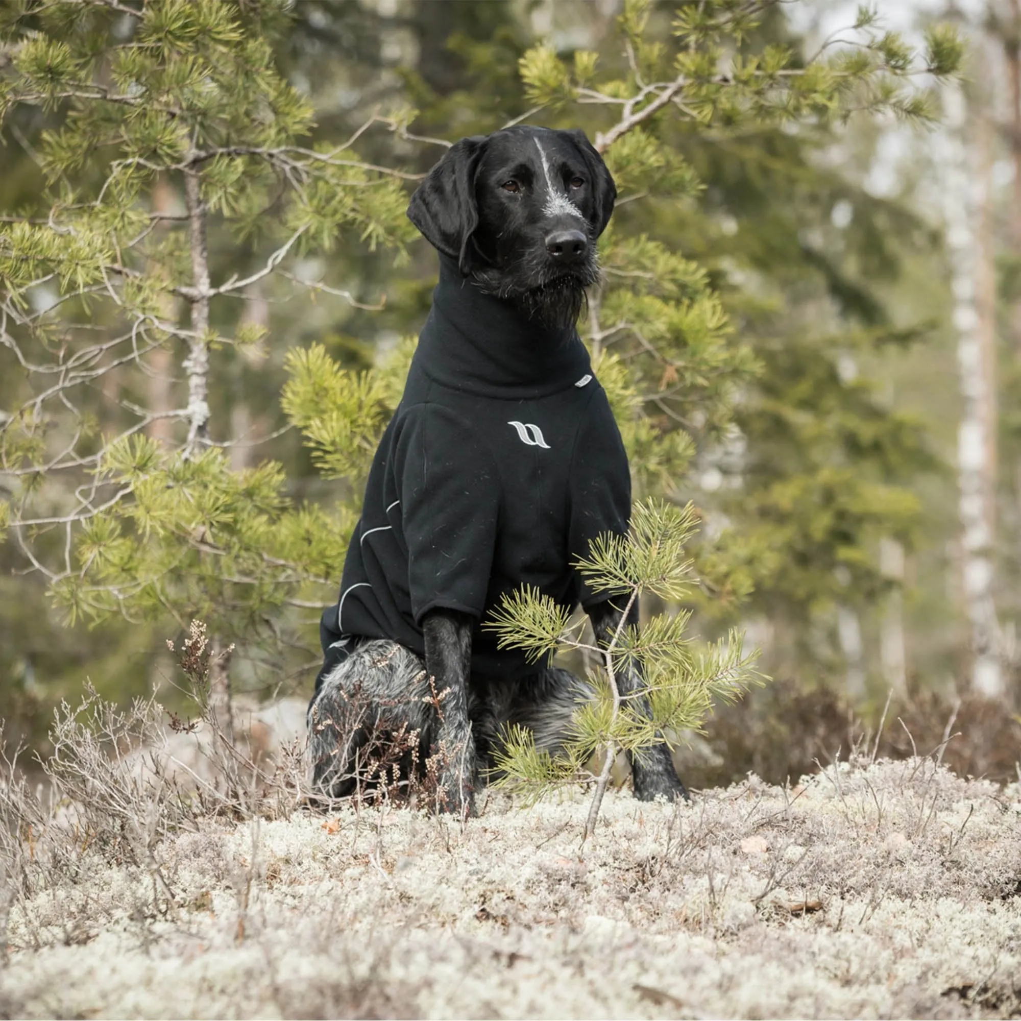 Pull en polaire Cassie Back on Track pour chiens