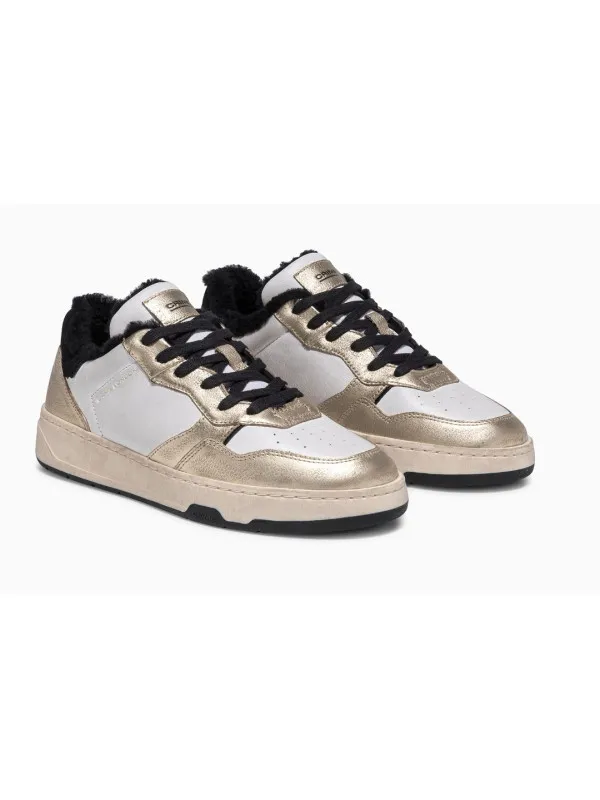 Sneakers TIMELESS LOW TOP Doré - Crime London